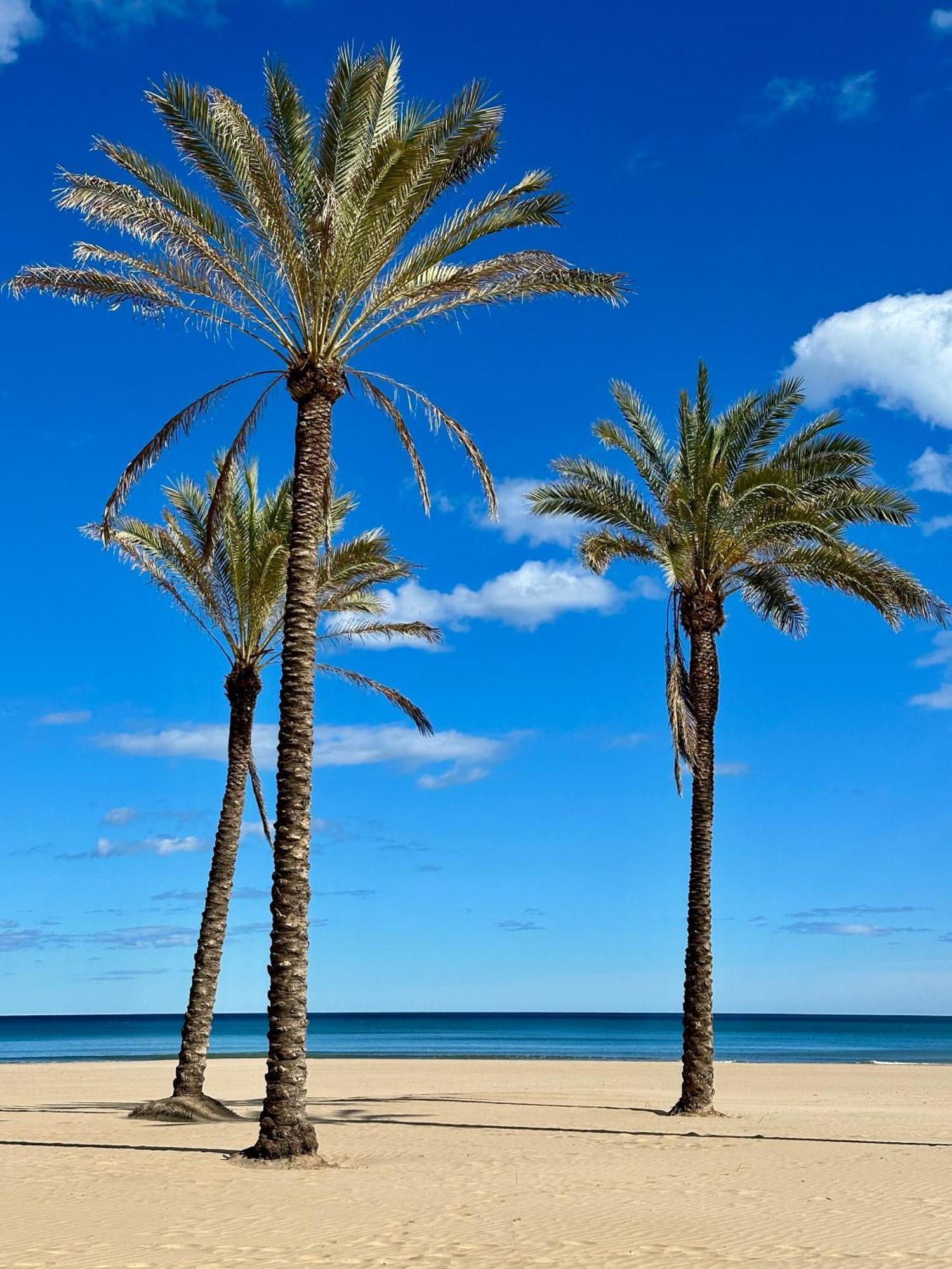 Apartamento Mar&Menta Cullera Exterior photo
